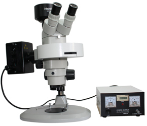Fluorescence Stereomicroscope